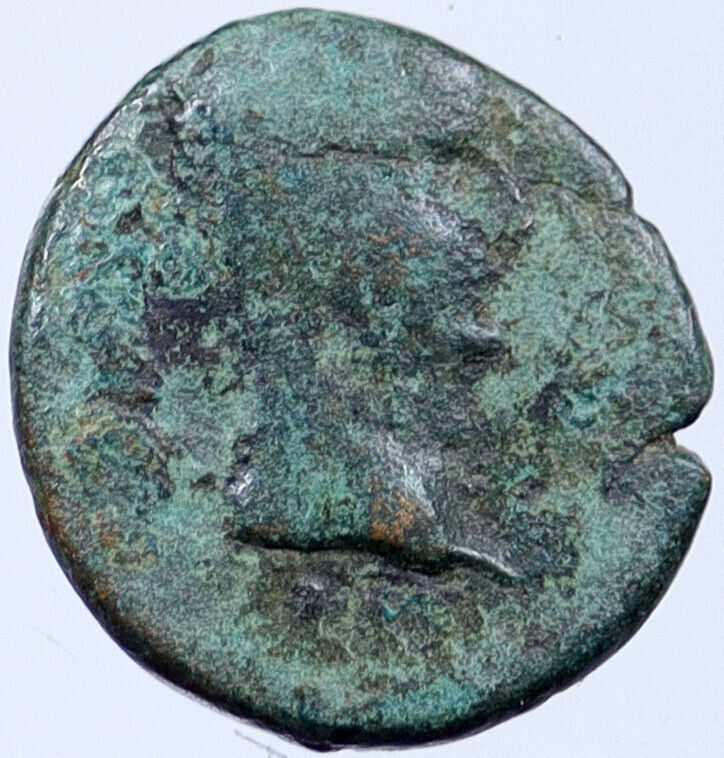 TIBERIUS 14AD Parium in Mysia Ancient Roman Coin PRIEST COLONISTS OXEN i119087