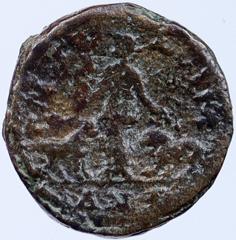 GORDIAN III 242AD Viminacium BULL & LION LEGIONS Ancient Roman Coin i119085