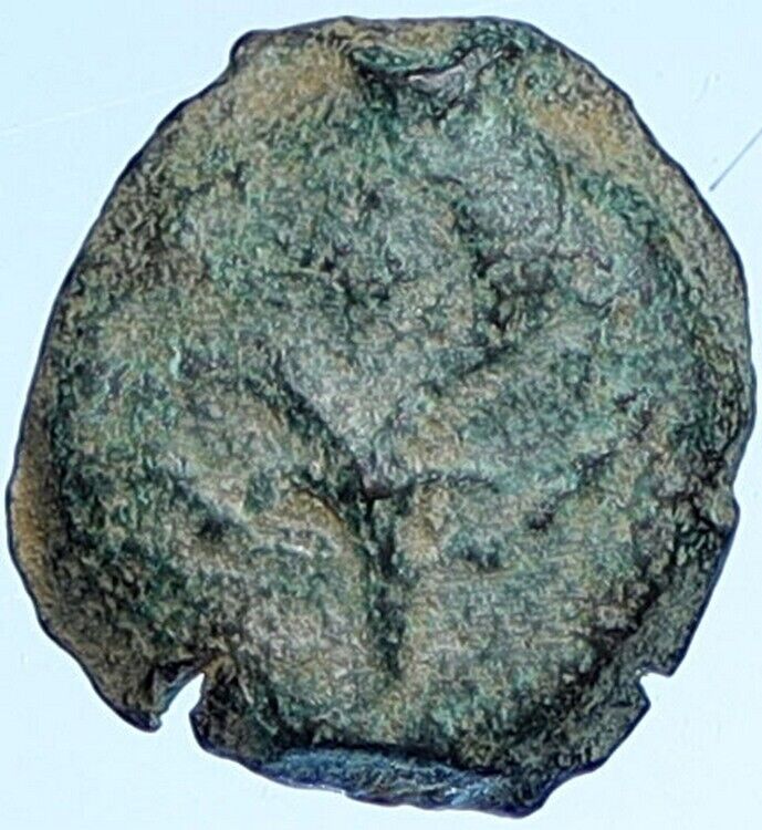 ALEXANDER JANNAEUS Biblical Jerusalem Jewish Widow's Mite Coin Hend 1145 i114364