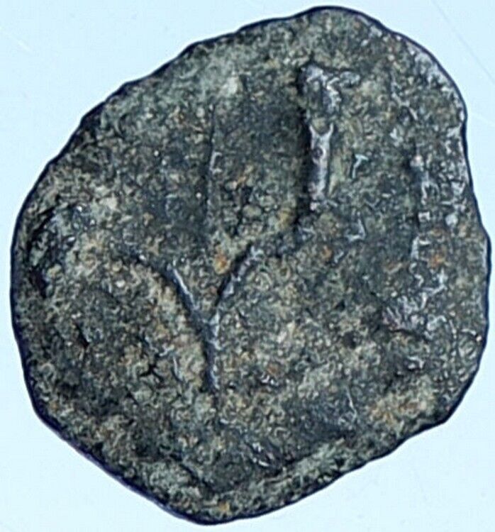 Salome Alexandra JOHN HYRCANUS II or ARISTOBULUS II Jewish Coin Hen 1159 i114370