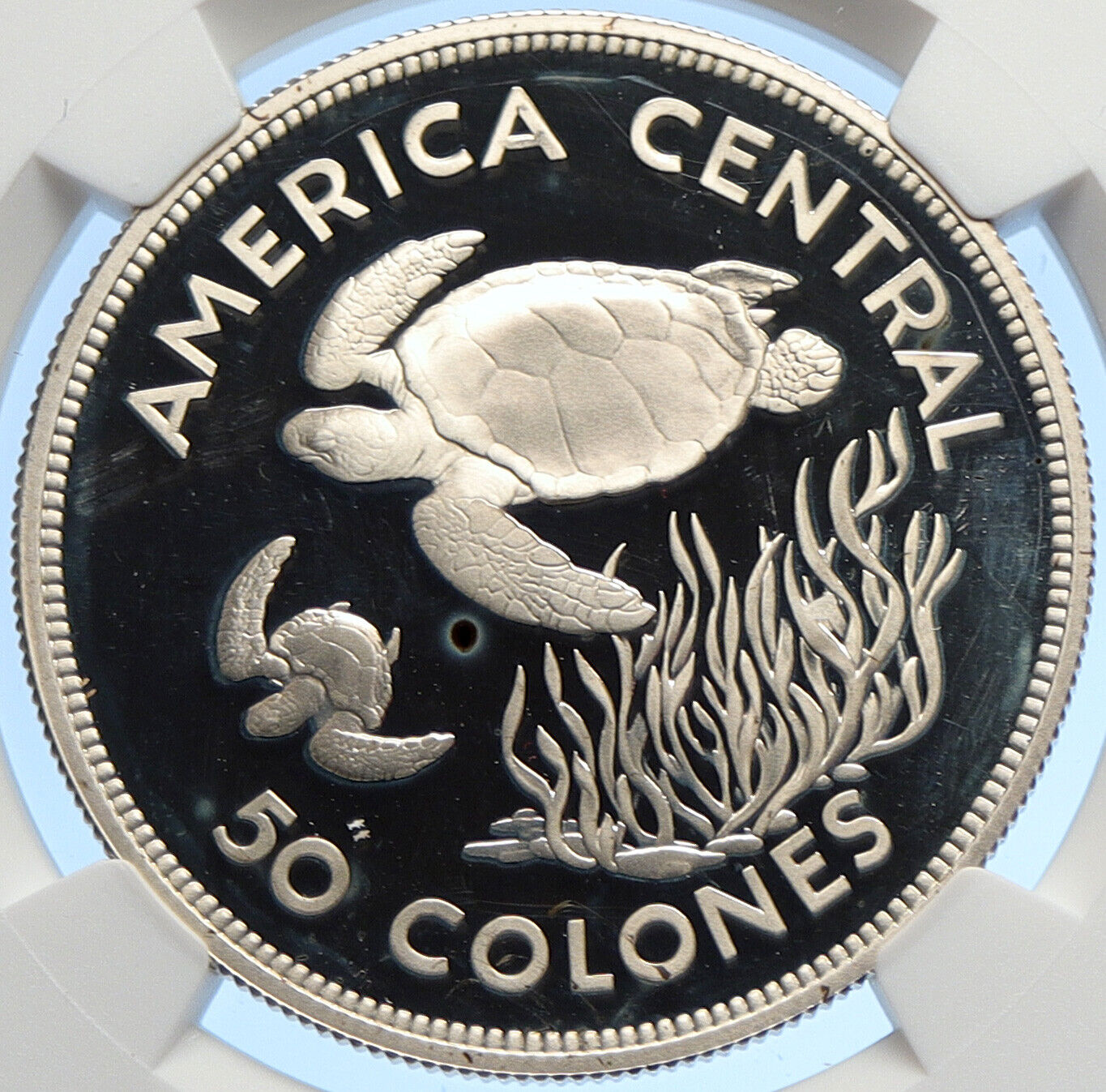 1974 COSTA RICA Conservation Sea Turtle OLD Silver 50 Colones NGC Coin i106285
