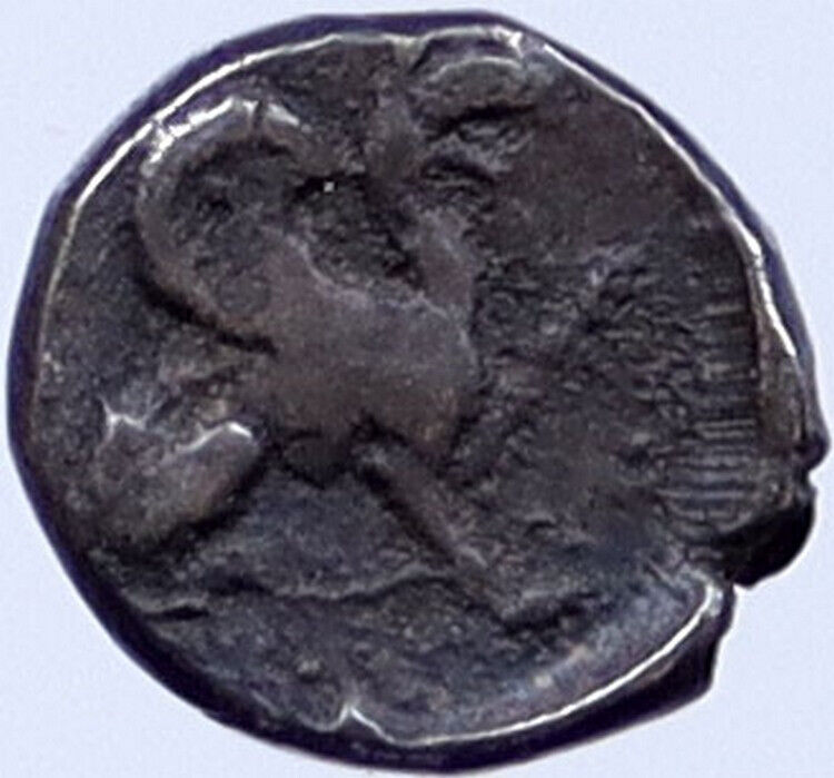 ABDERA in THRACE Authentic 395BC Silver Ancient Greek Coin GRIFFIN RAM i119171