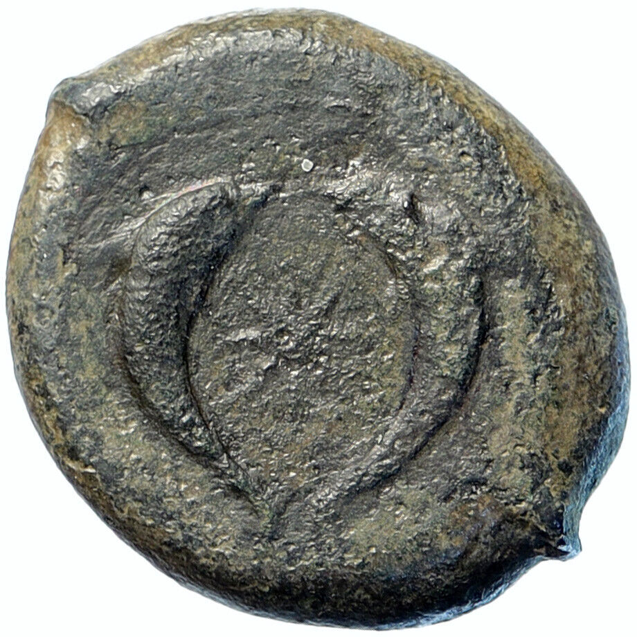 SYRACUSE SICILY ANTIQUE Ancient Greek Old Coin ATHENA STARFISH DOLPHINS i99417