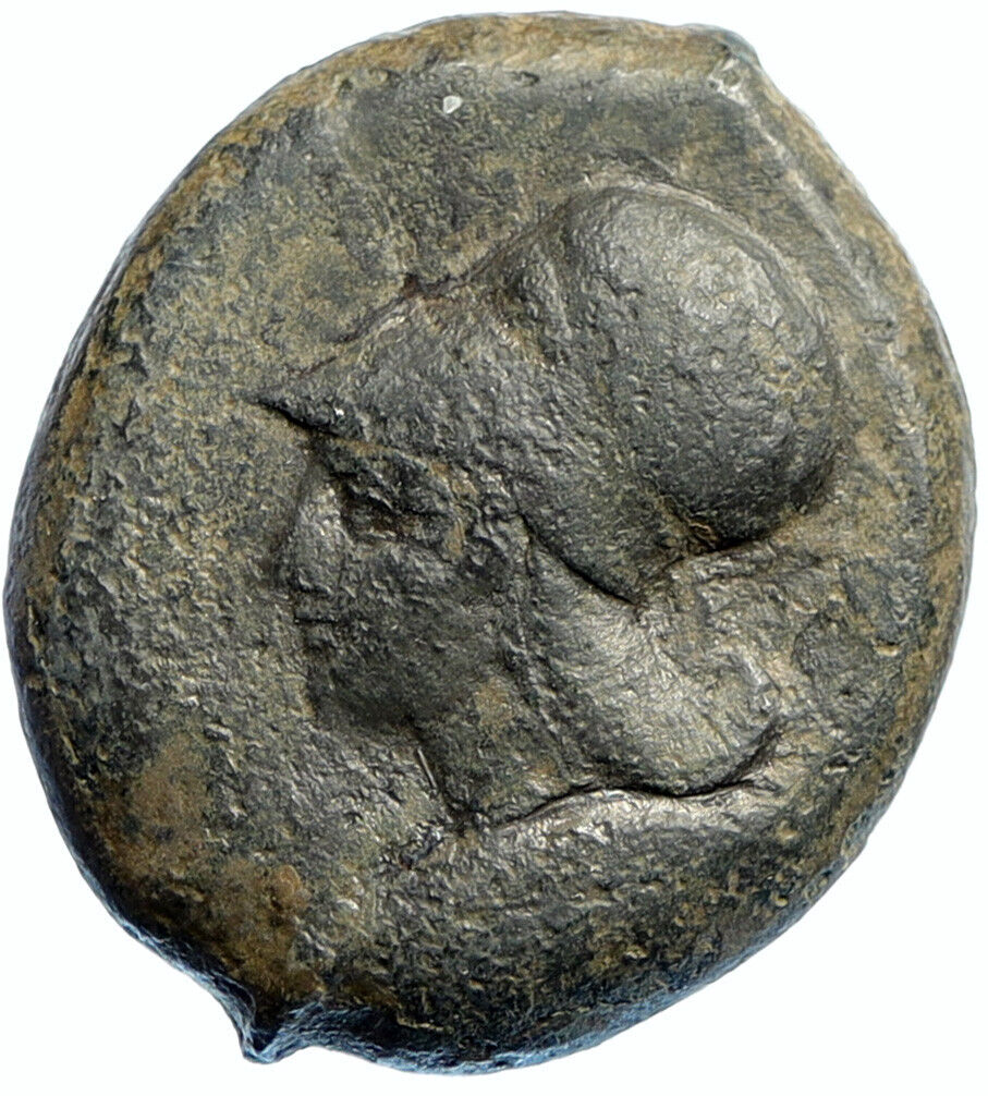 SYRACUSE SICILY ANTIQUE Ancient Greek Old Coin ATHENA STARFISH DOLPHINS i99417