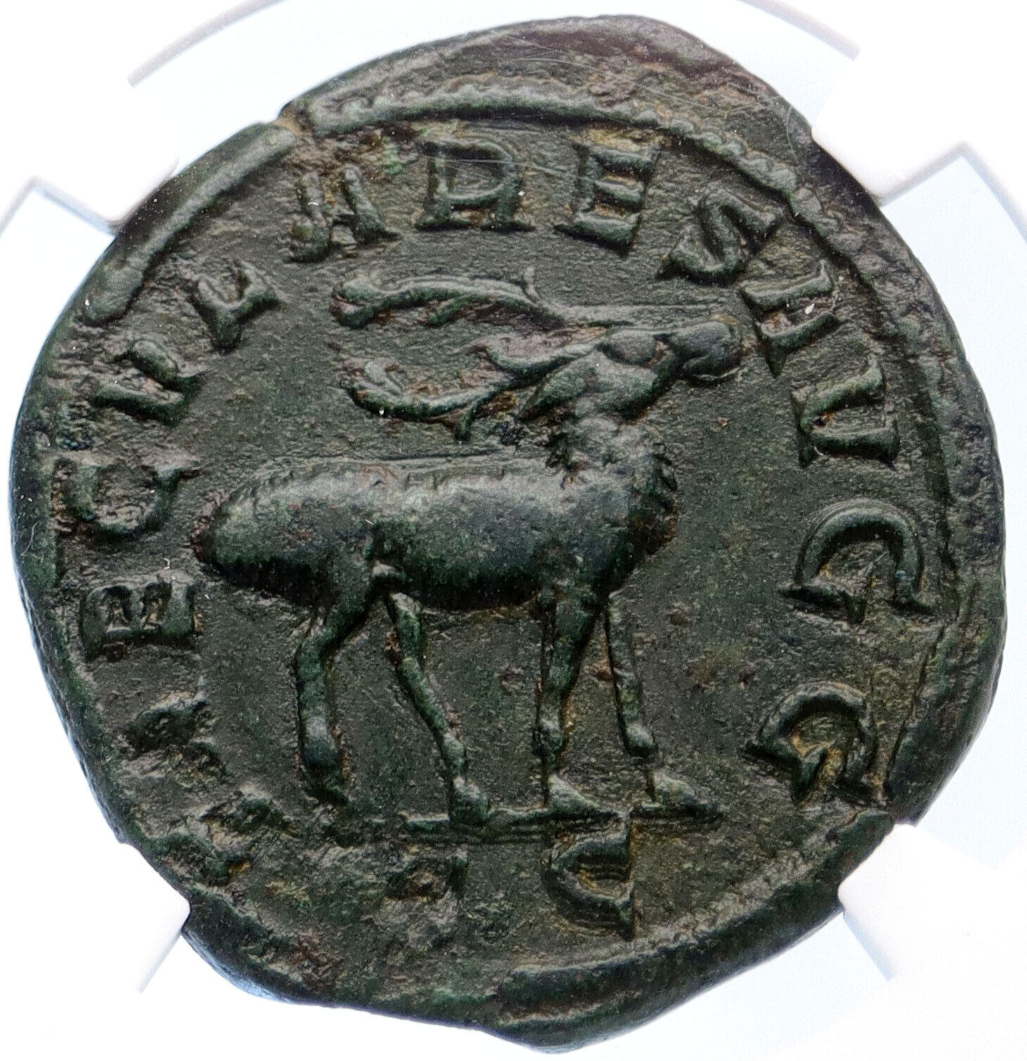 PHILIP I the ARAB Sestertius 1000 Years of Rome Colosseum Animal Coin NGC i60394