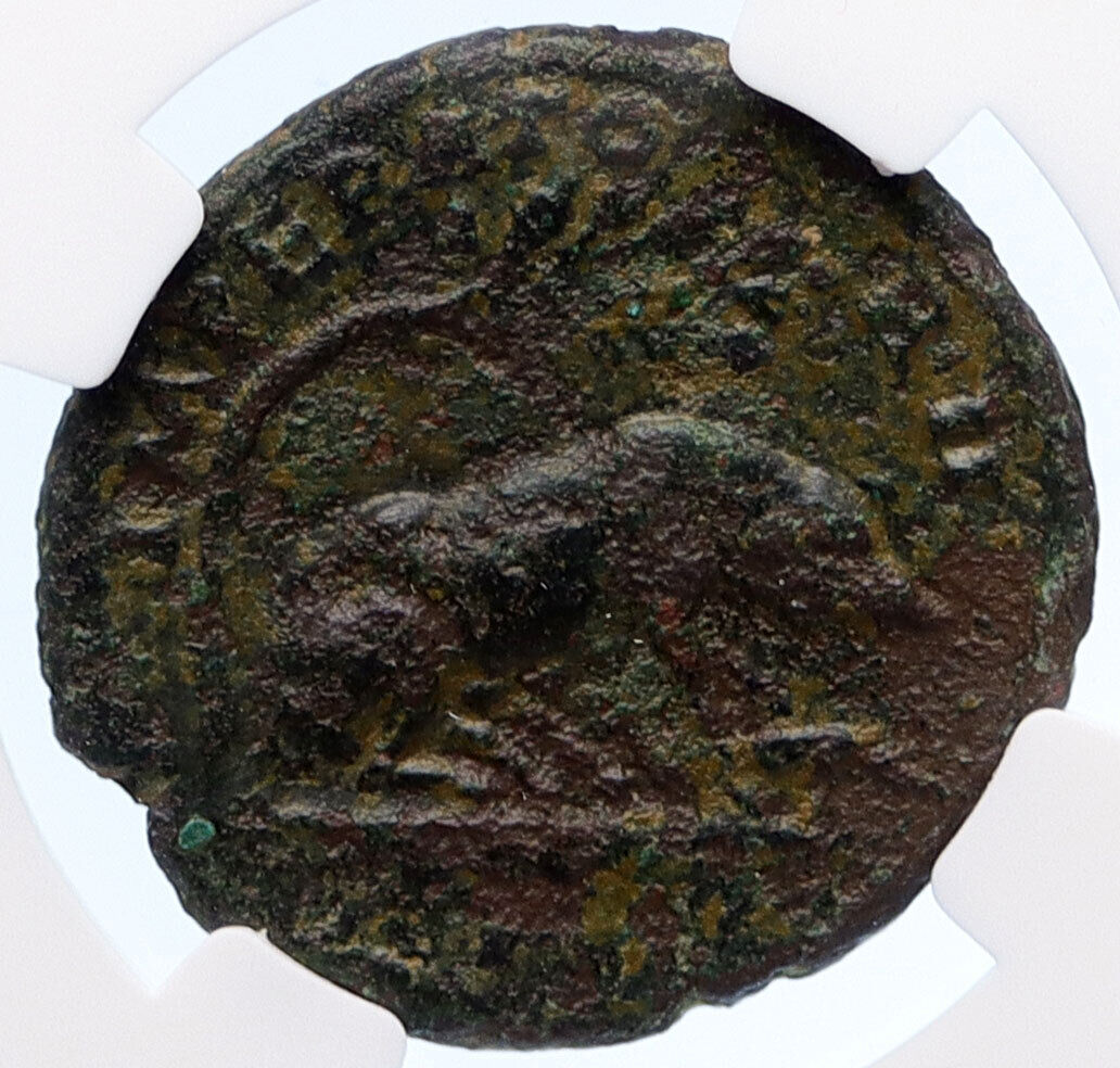 ANTONINUS PIUS 143AD Rome SOW PIGLETS LARES Rare Ancient Roman Coin NGC i60244