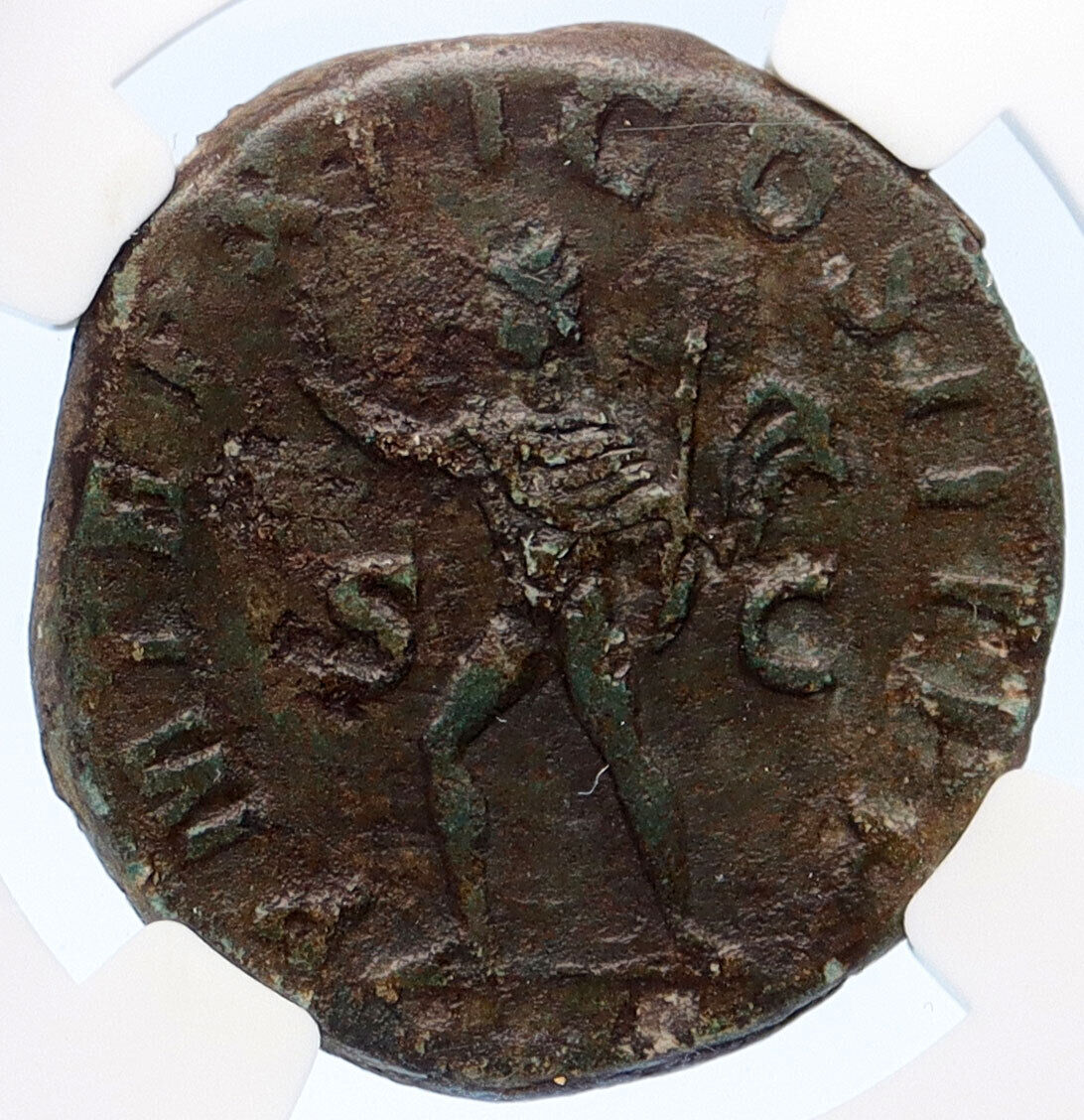 SEVERUS ALEXANDER 233AD Rome Sestertius Sol Ancient Roman Coin NGC VF i60270