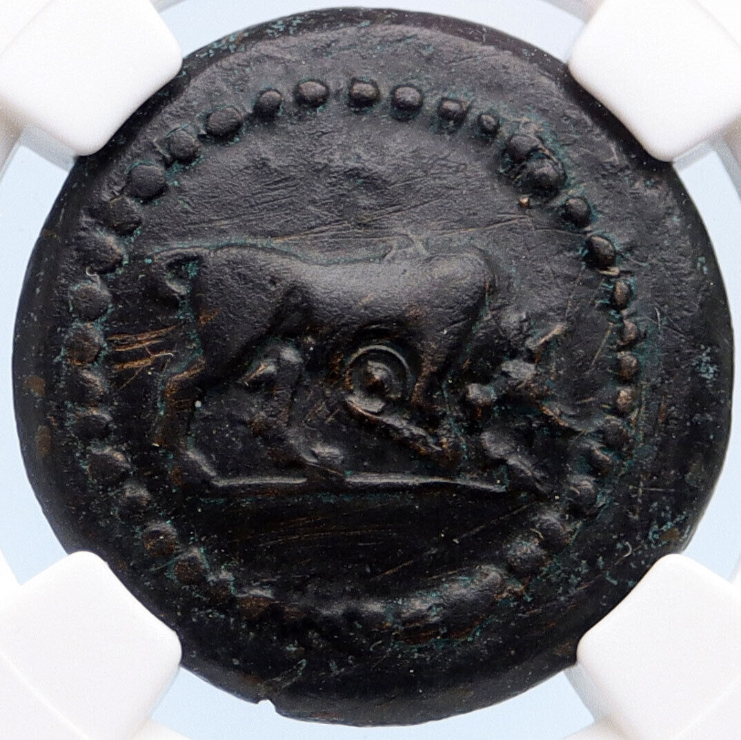 KYZIKOS Cyzicus Mysia 2-1cBC Authentic Ancient Greek Coin BULL TORCH NGC i61979