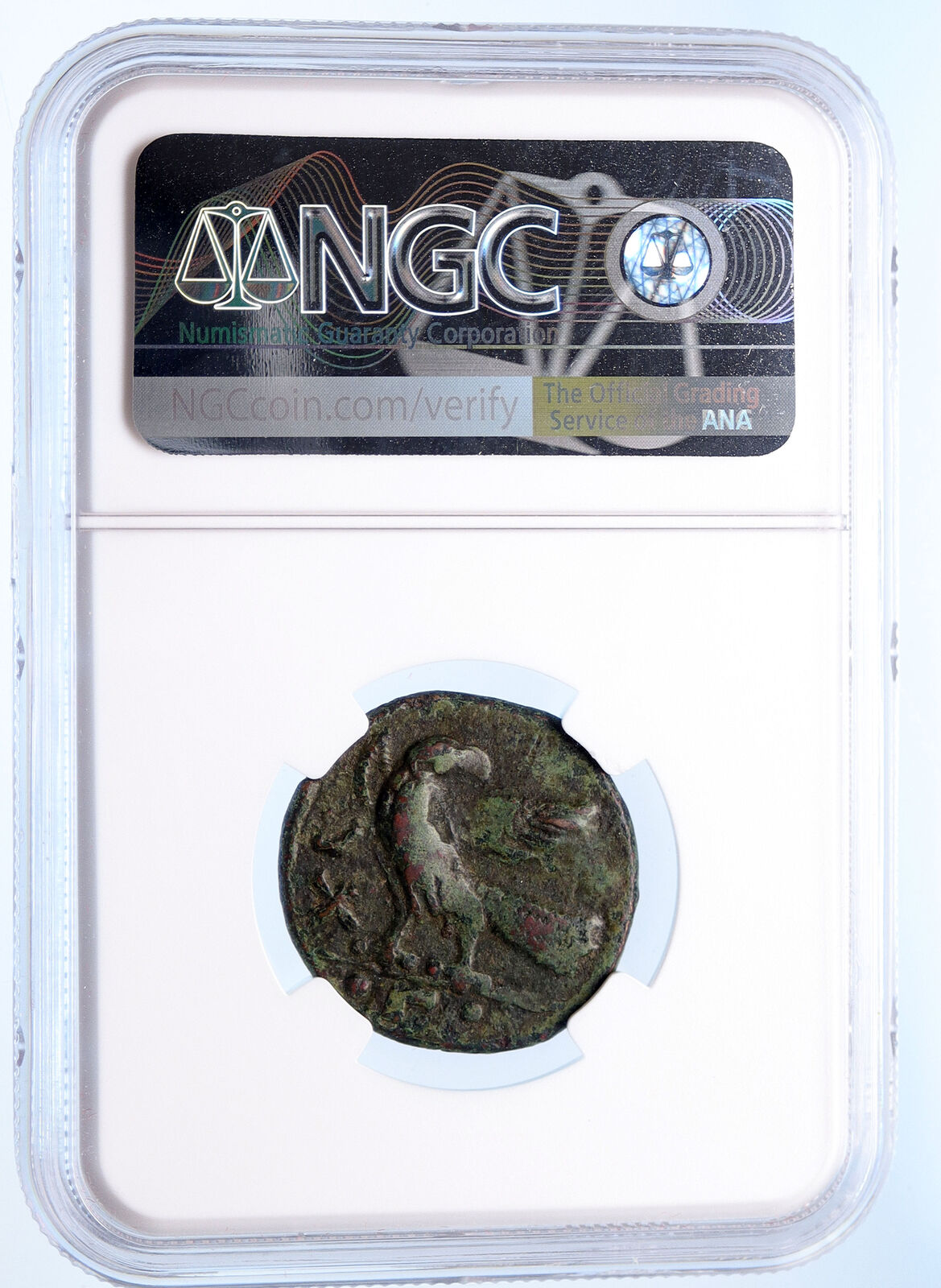 OSTROGOTHS Municipal Coinage of ROME Ancient 493AD Roman Style Coin NGC i68146