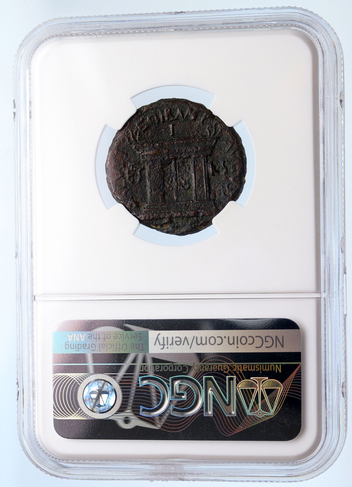 DOMITIAN with Judaea Herodian King AGRIPPA II 85AD Ancient Roman Coin NGC i66647