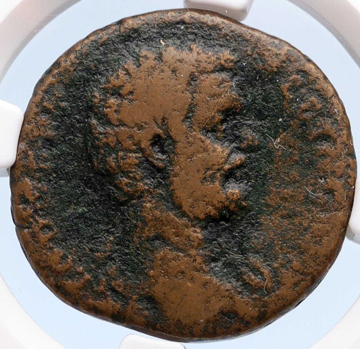 CLOUDIUS ALBINUS as Caesar 194AD Rome Sestertius Ancient Roman Coin NGC i60229