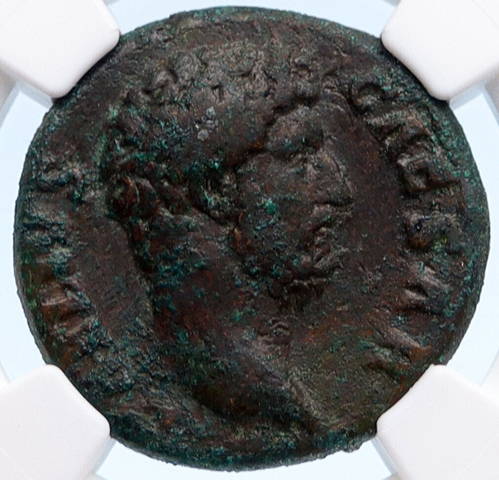 AELIUS Successor of Hadrian RARE 137AD Ancient Roman Coin w SPES NGC VF i60253