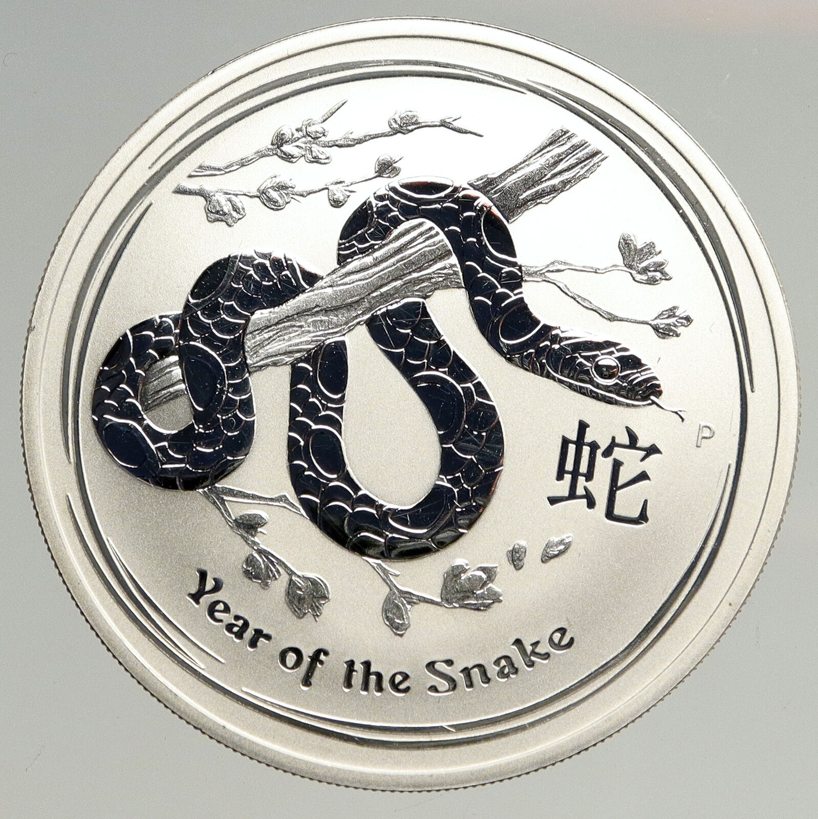 2013 AUSTRALIA Elizabeth II Chinese Zodiac Year Snake ART Silver $1 Coin i93614