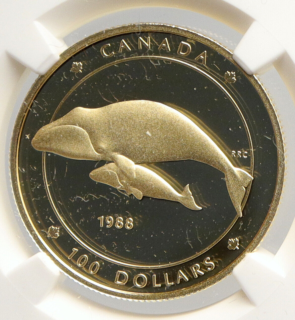 1988 CANADA UK Elizabeth II Bowhead Whale Child Proof Gold $100 Coin NGC i94026