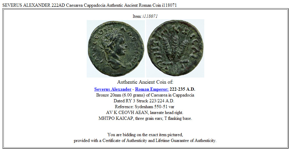 SEVERUS ALEXANDER 222AD Caesarea Cappadocia Authentic Ancient Roman Coin i118071