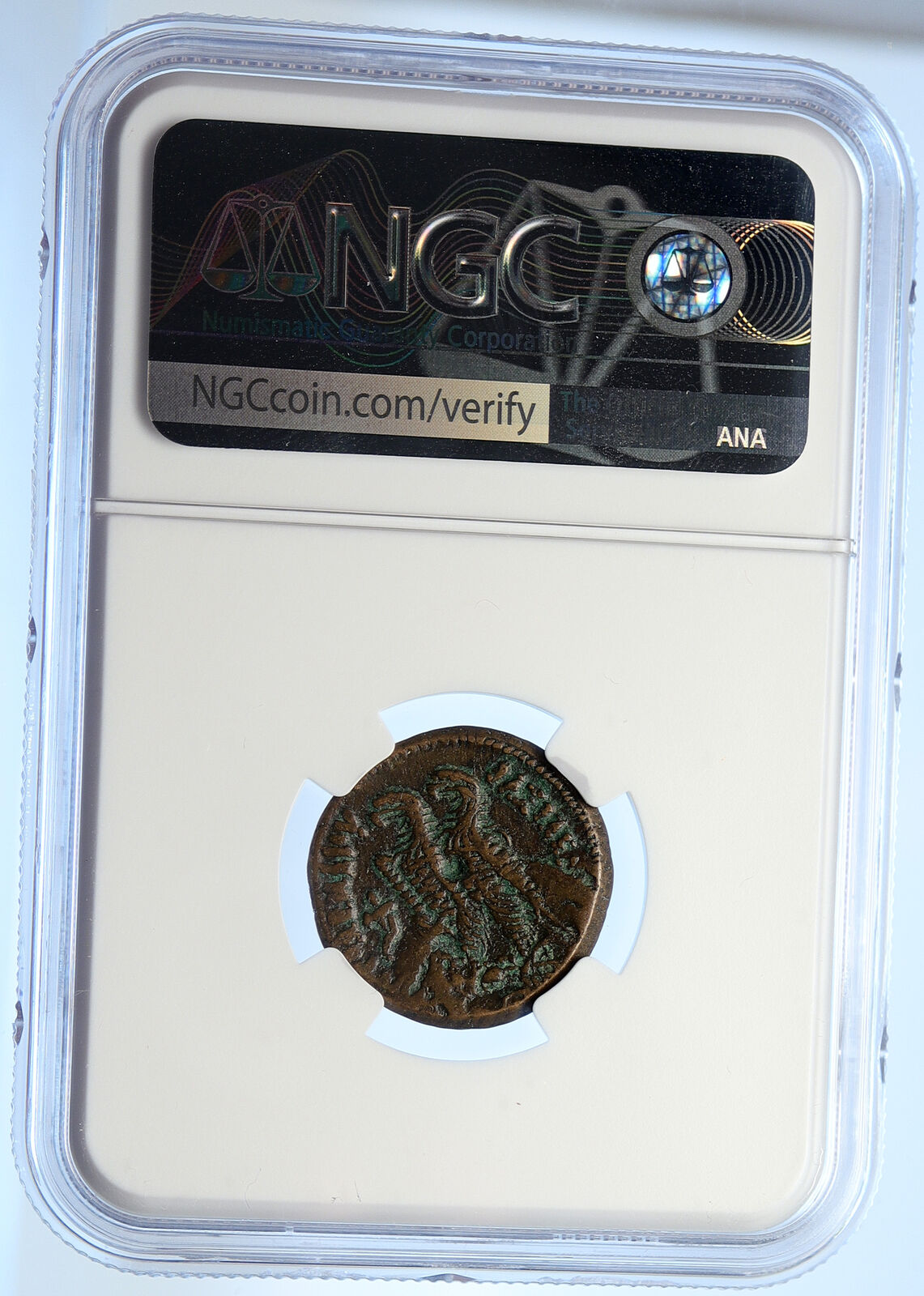 Ptolemy VI Philometor King of Egypt Ancient Greek Coin ZEUS EAGLES NGC i106613