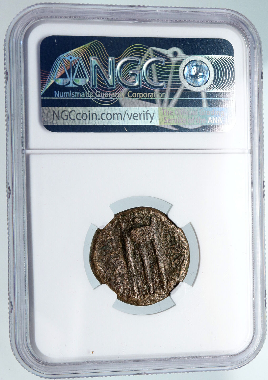 ANTIOCHUS III Seleukid Vintage ANTIQUE Ancient Greek Coin APOLLO Coin NGC i89551